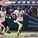 Search : Chicago Bears 2009 Mini Wall Calendar