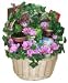 Certified Organic Heart Healthy Gift Basket