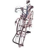 31HiKjM DQL. SL160  Bike Rack   2 Bike Road Comfort Stand (Black) (18 W x 16 D (base) x 16 H)