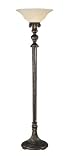 Toltec Lighting - Jazz with Amber Marble Glass Floor Lamp 17-BRZ-53813