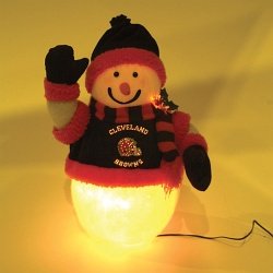 Cleveland Browns Fiber Optic 16