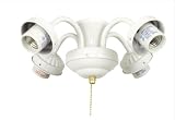 Ellington Four Light Fitter in White