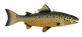 Trade Sign Trout
