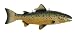 Trade Sign Trout