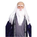 Wizard Adult Disguise Set