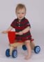 Galt Original Tiny Trike 59032