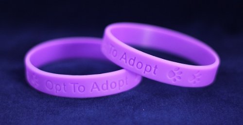 pet adoption