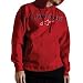 Alpinestars Arch Pullover Fleece Hoody Image