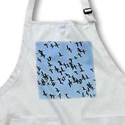 Canada Geese, Branta canadensis - BLACK Full Length Apron With Pockets 22w X 30l