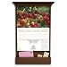 Cherry Finish Wood Calendar Frame (Cherry Wood) (29