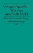 Was von Auschwitz bleibt: Das Archiv und der Zeuge. Homo sacer III (edition suhrkamp)