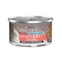 Pro Plan Adult Indoor Cat Salmon and Rice Formula Canned Food