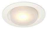Juno 6 Drop Opal Shower Recessed Light Trim