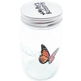 My Pet Butterfly - Monarch (Plastic Jar)