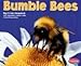 Bumble Bees (Pebble Plus Bugs, Bugs, Bugs!)