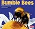 Bumble Bees (Pebble Plus Bugs, Bugs, Bugs!)