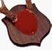 Quaker Boy® Antler Mounting Kit Red