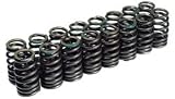 Cosworth (20000163 350Z) High Performance Valve Springs - VQ35 3.5L
