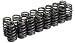 Cosworth (20000166) High Performance Valve Springs - EJ25 2.5L