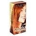 Colorsilk By Revlon, Ammonia-Free Permanent, Haircolor: Bright Auburn # 4BR - 1 Ea,