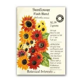 Heirloom Sunflower Seeds Flash Blend Certified Organic