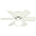 Westinghouse 78108 Petite 6-Blade 30-Inch 3-Speed Hugger-Style Ceiling Fan with Light, White