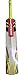 Gray Nicolls GN+ Powerbow English Willow Cricket Bat, Short Handle RS.3146.00