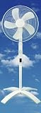 Oval Oscillating Pedestal Fan, 16