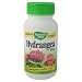 Nature's Way Hydrangea (Root) 100 cap ( Multi-Pack)