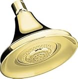 KOHLER K-10284-PB Forte Multifunction Showerhead, Vibrant Polished Brass