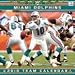 Miami Dolphins 2010 12x12 Team Wall Calendar