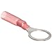 Morris Products 12222 Ring Terminal, Heat Shrinkable, Red, 22-16 Wire Size, 3/8" Stud Size  (Pack of 100)