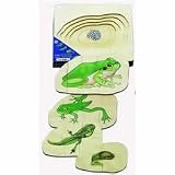 Beleduc From Egg to Frog 5-Layer Puzzle