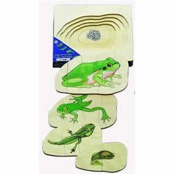 Beleduc From Egg to Frog 5-Layer Puzzle
