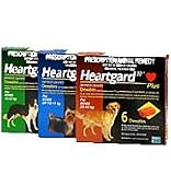 Heartgard Plus Small 6 Pack