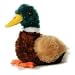 Plush Lil' Mallard Duck Mini Flopsie 8