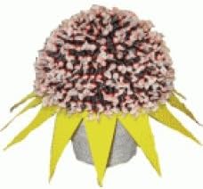 Pot O' Sunshine Candy Bouquet - Large