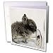 Cassie Peters Rabbits - Lionhead Bunny and Wine Glass - Greeting Cards-12 Greeting Cards with envelopes