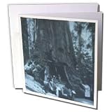 Scenes from the Past Magic Lantern Slides - Wawaon Tree at Maraposa Grove Yosemite National Park Cyan - Greeting Cards-6 Greeting Cards with envelopes