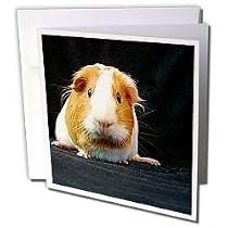 Guinea Pig - Guinea Pig - Greeting Cards-6 Greeting Cards with envelopes