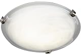 Aero 2 light Flushmount