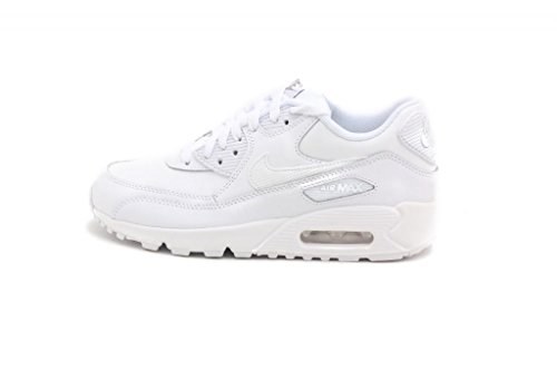 Nike Air Max 90 (gs) Big Kids 307793-167