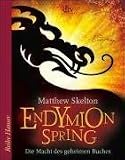 Endymion Spring: Die Macht des geheimen Buches