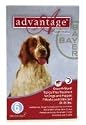 Bayer ADVANTAGE6-RED Advantage 6 Pack Dog 21-55 Lbs. - Red
