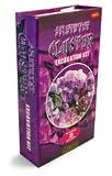 GeoCentral Excavation Dig Kit - Amethyst Clusters
