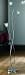 Kitchen & Housewares : standard lamp