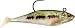 Storm WildEye Swim Shad 03 Fishing Lures