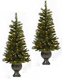 Aspen Potted Topiary Pre-Lit Christmas Tree (Set of 2)