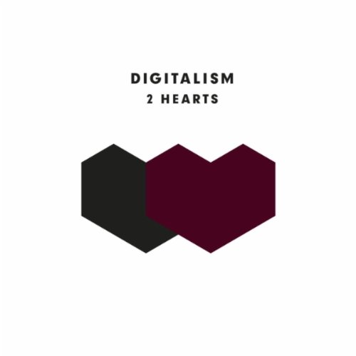 Digitalism Picture 7