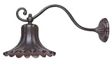 31Hqwpav7mL. SL160  World Imports Lighting 9078 89 Dark Sky Chetwyn 1 Light Outdoor Lantern, Bronze, 10 Inch Diameter 10 1/2 Inch Height 20 Inch Extension